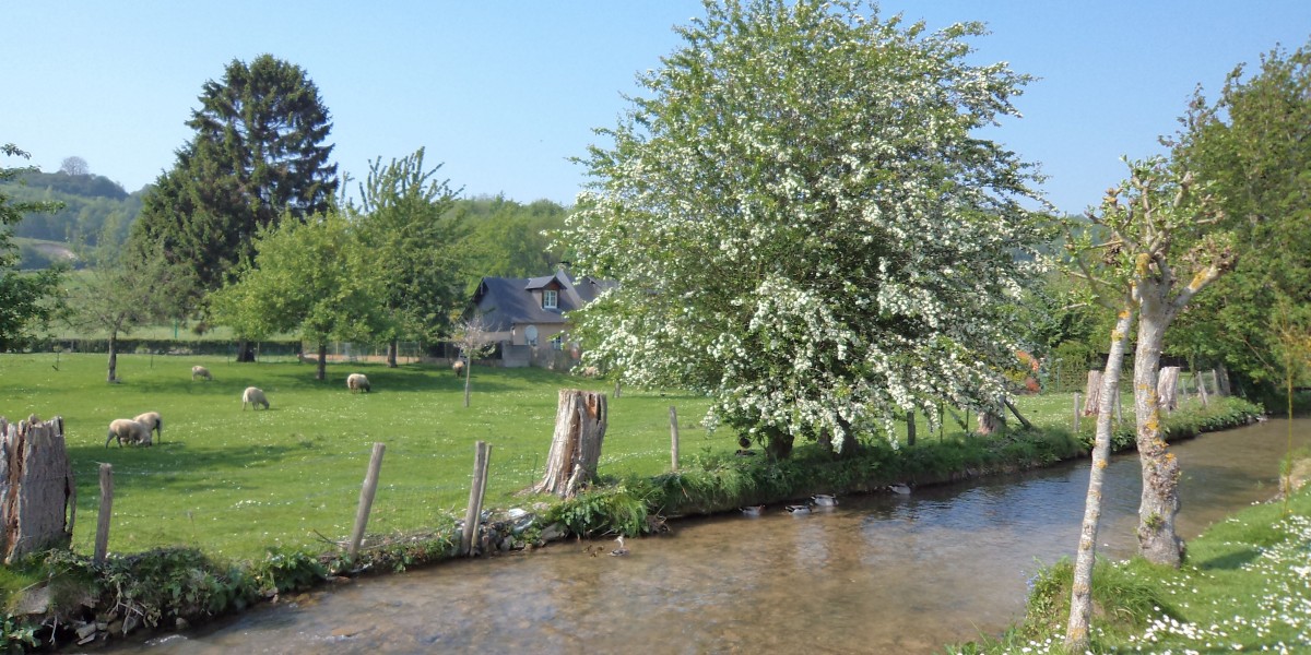 st-ouen-ss-bailly-5